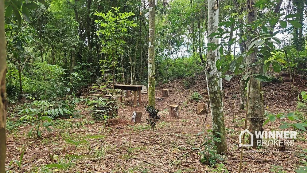 Chácara, 1 quarto, 2000 m² - Foto 6