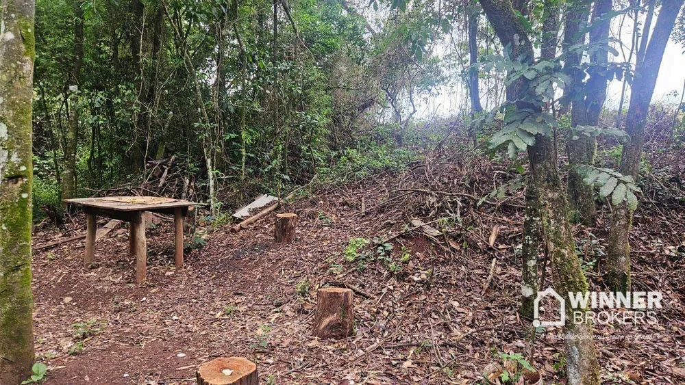 Chácara, 1 quarto, 2000 m² - Foto 7