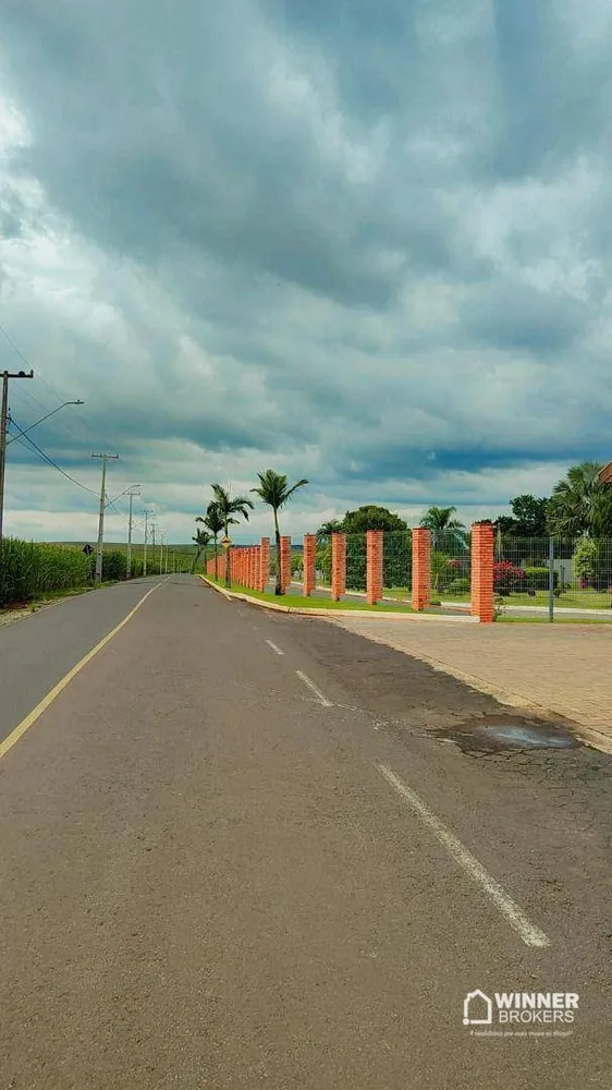 Chácara, 4 quartos, 1000 m² - Foto 6