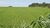 Fazenda, 104 hectares - Foto 4