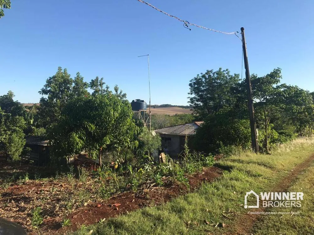 Chácara, 1 quarto, 3000 m² - Foto 3