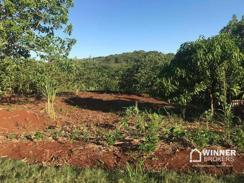 Chácara, 1 quarto, 3000 m² - Foto 2