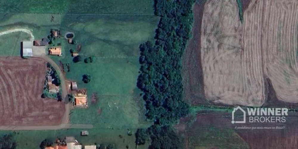 Chácara, 1 quarto, 12 hectares - Foto 3