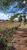 Terreno, 10000 m² - Foto 5