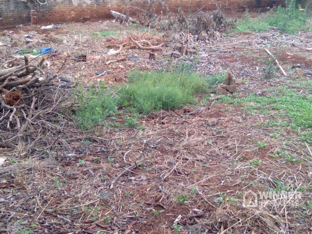 Terreno à venda, 1000M2 - Foto 8