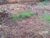 Terreno, 1000 m² - Foto 8