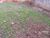 Terreno, 1000 m² - Foto 9