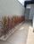 Casa, 3 quartos, 90 m² - Foto 4