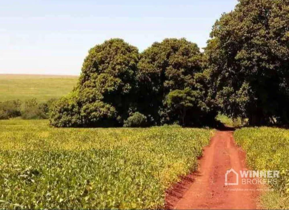 Sítio, 1 quarto, 15 hectares - Foto 12
