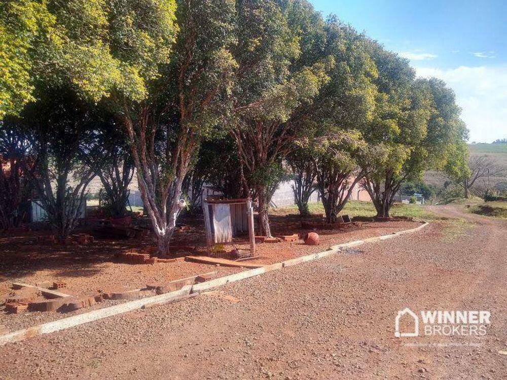 Chácara, 2 quartos, 3 hectares - Foto 9