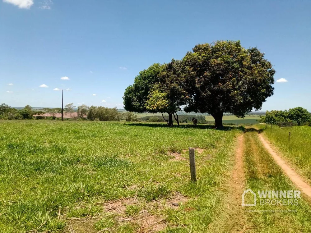 Sítio à venda com 2 quartos, 82280M2 - Foto 7