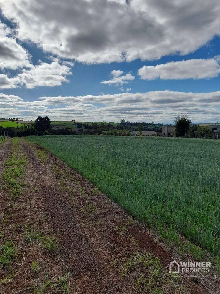 Chácara, 2 hectares - Foto 2