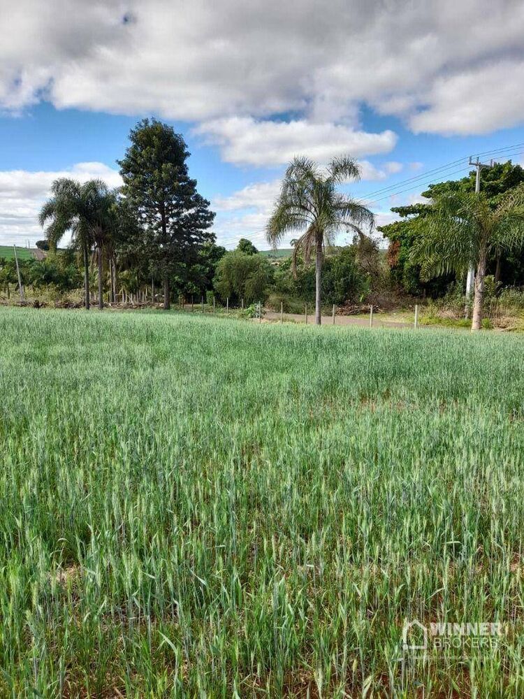 Chácara, 2 hectares - Foto 1