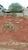 Terreno, 200 m² - Foto 2