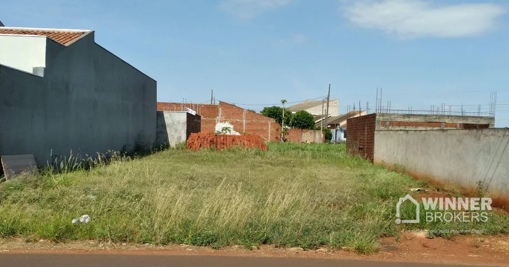 Terreno, 300 m² - Foto 3