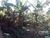 Terreno, 1000 m² - Foto 5