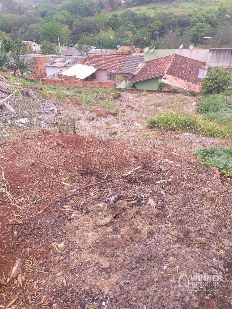 Terreno à venda, 250M2 - Foto 3