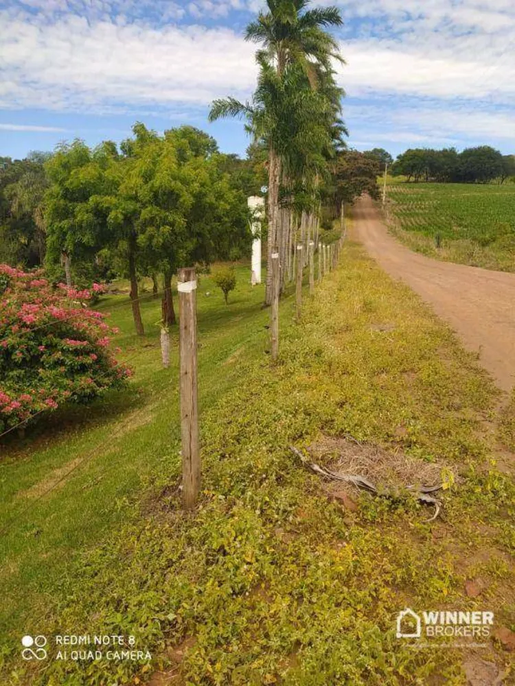 Chácara, 3 quartos, 2 hectares - Foto 2