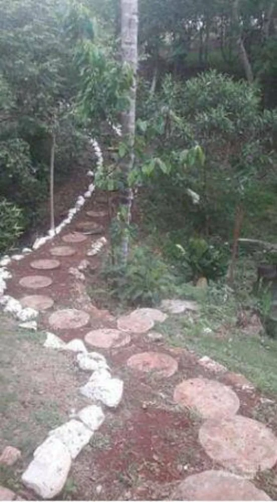 Chácara, 3 quartos, 2 hectares - Foto 8