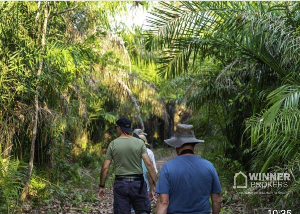 Pousada-Chalé, 25 quartos, 2820 m² - Foto 3