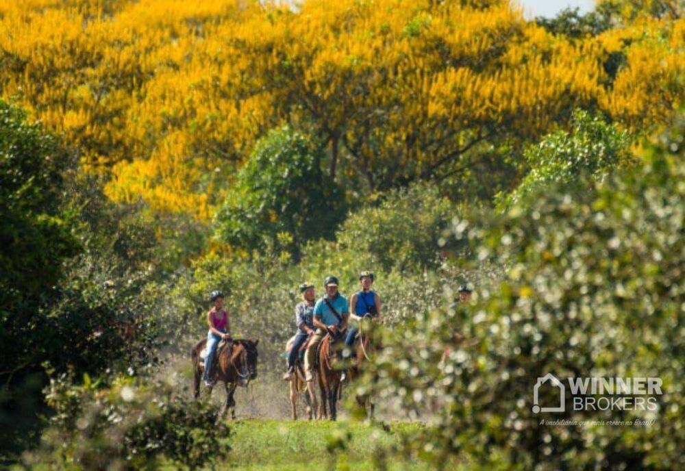 Pousada-Chalé, 25 quartos, 2820 m² - Foto 2