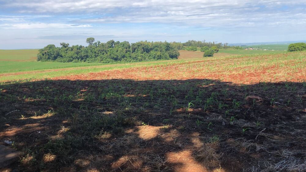 Terreno à venda, 133027400M2 - Foto 4