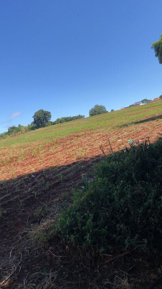 Terreno à venda, 133027400M2 - Foto 6