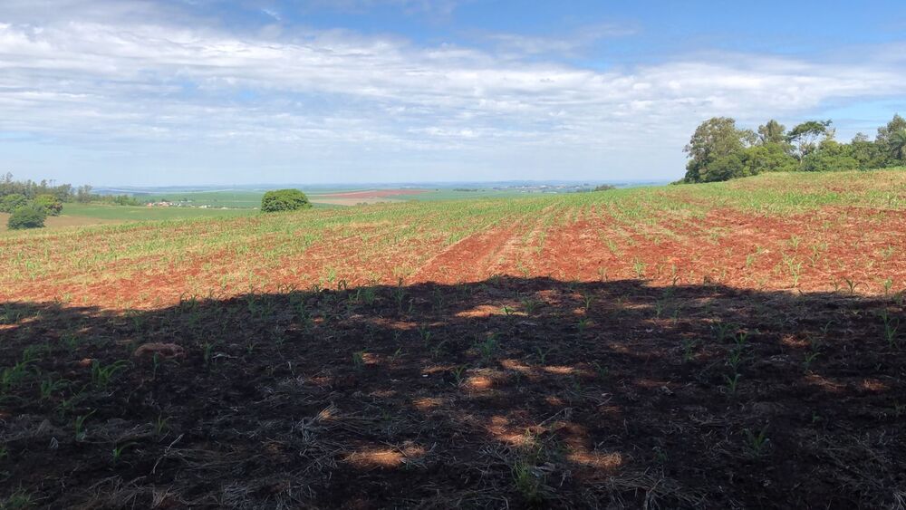Terreno à venda, 133027400M2 - Foto 5