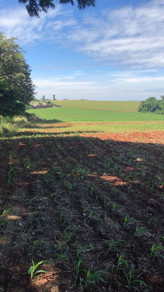 Terreno à venda, 133027400M2 - Foto 3