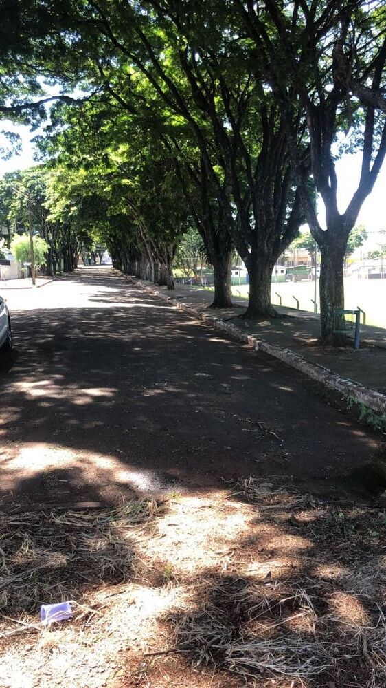 Terreno à venda, 133027400M2 - Foto 1