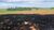 Terreno, 13303 hectares - Foto 4