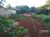 Chácara, 3000 m² - Foto 8