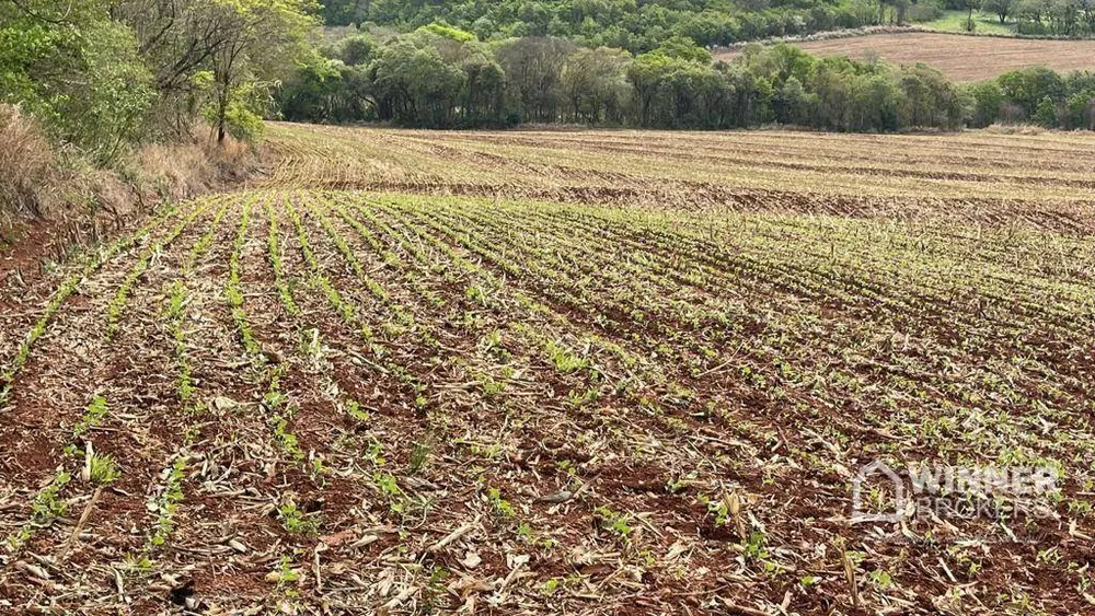 Terreno, 58 hectares - Foto 4