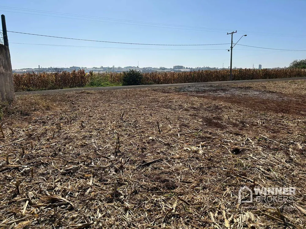 Terreno, 6 hectares - Foto 2
