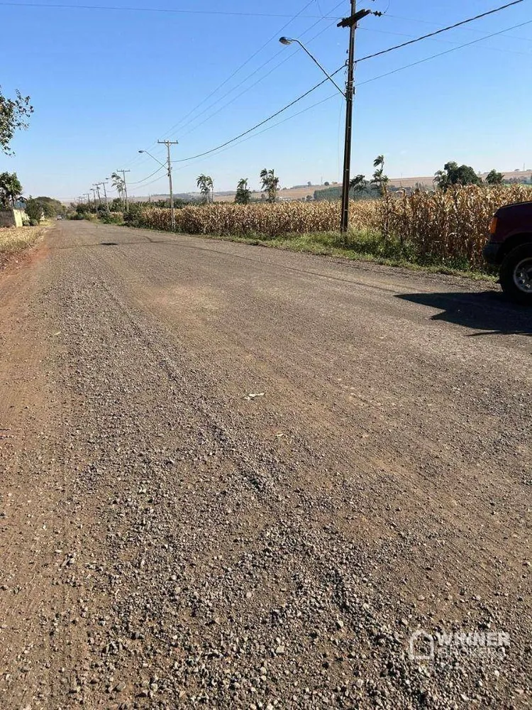 Terreno, 6 hectares - Foto 4