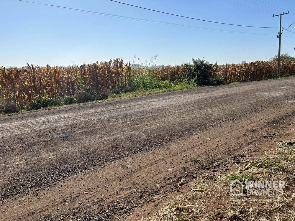 Terreno, 6 hectares - Foto 3