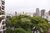Apartamento, 4 quartos, 275 m² - Foto 5