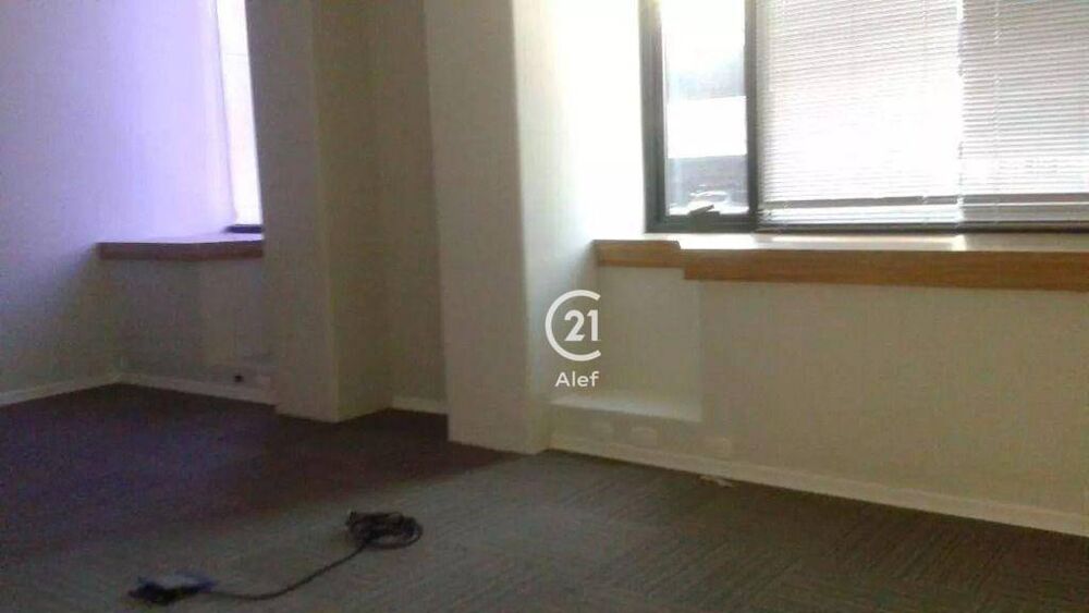 Sala-Conjunto, 374 m² - Foto 4