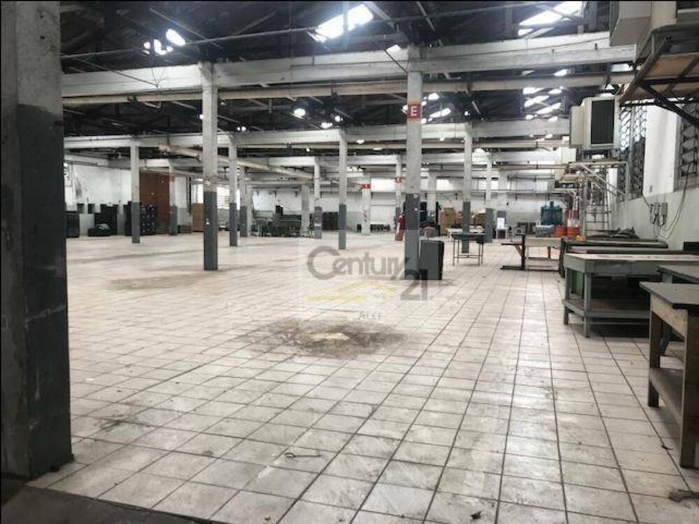 Depósito-Galpão, 6000 m² - Foto 3