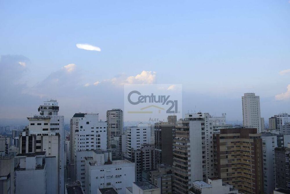 Apartamento, 3 quartos, 271 m² - Foto 4