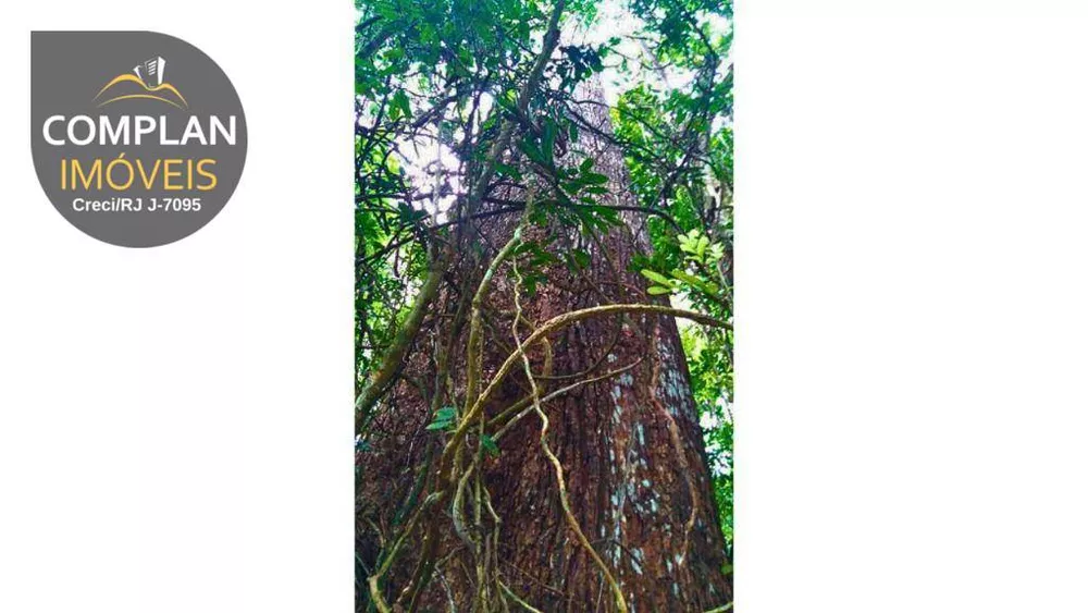 Terreno, 240 hectares - Foto 15