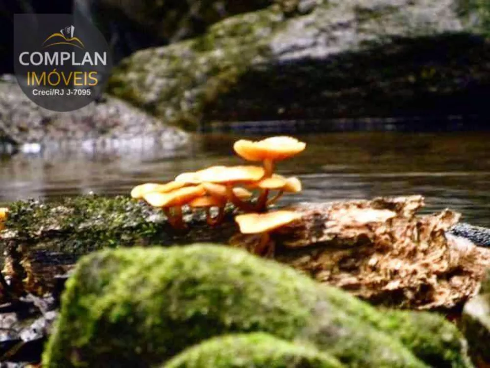 Terreno, 240 hectares - Foto 22