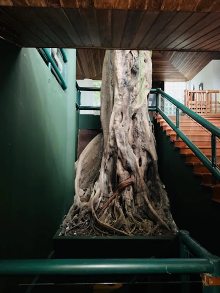 Casa de Condomínio, 6 quartos - Foto 10