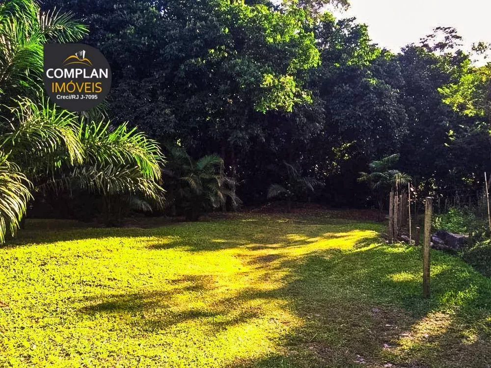 Sítio, 3 quartos, 4000 m² - Foto 7