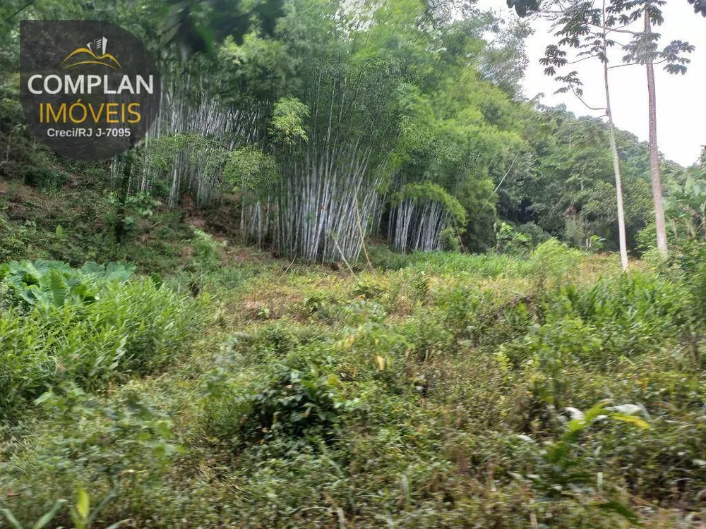 Sítio, 3 quartos, 4000 m² - Foto 71