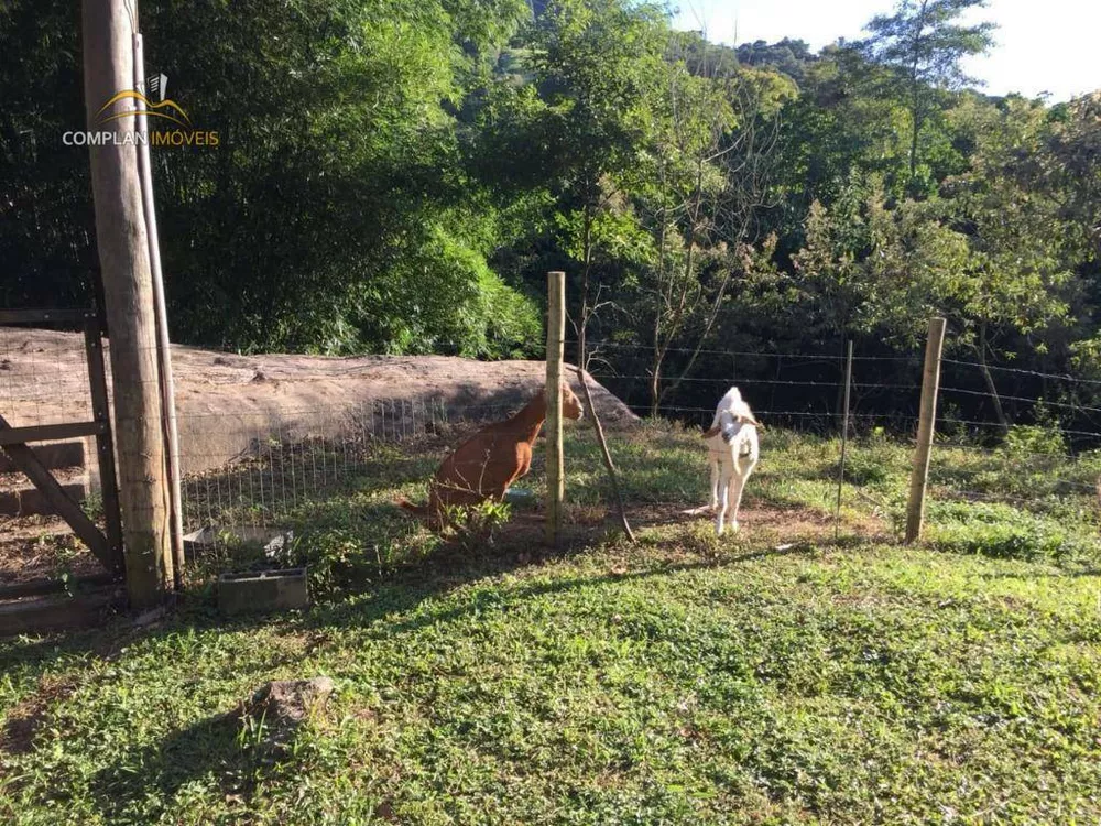 Sítio, 3 quartos, 4000 m² - Foto 57