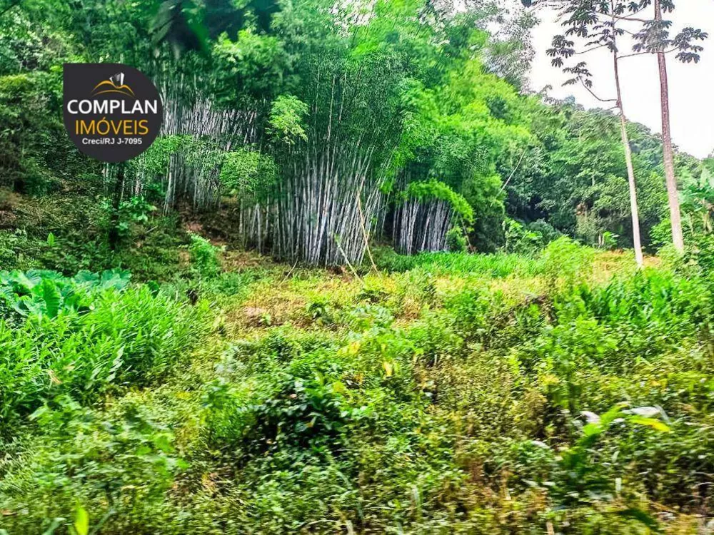 Sítio, 3 quartos, 4000 m² - Foto 36