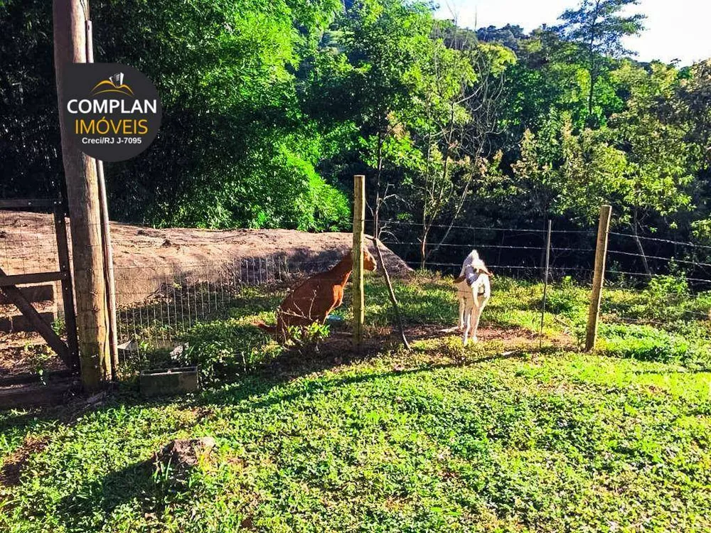 Sítio, 3 quartos, 4000 m² - Foto 4