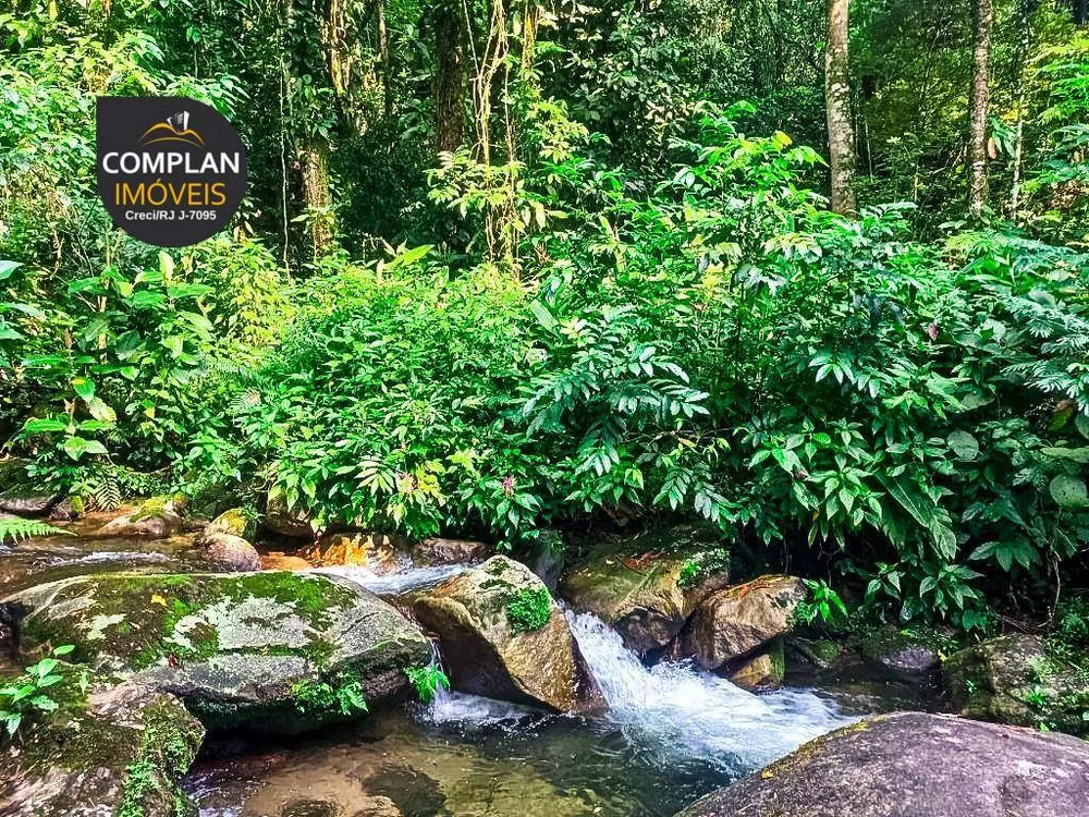 Sítio, 3 quartos, 4000 m² - Foto 35