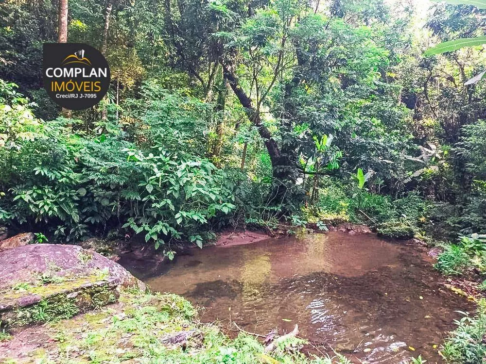 Sítio, 3 quartos, 4000 m² - Foto 38